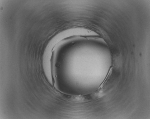 X0000061750329200512231532