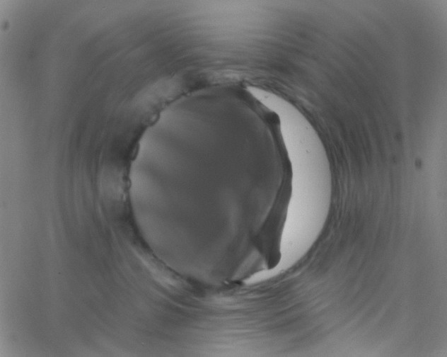 X0000061750331200512231532