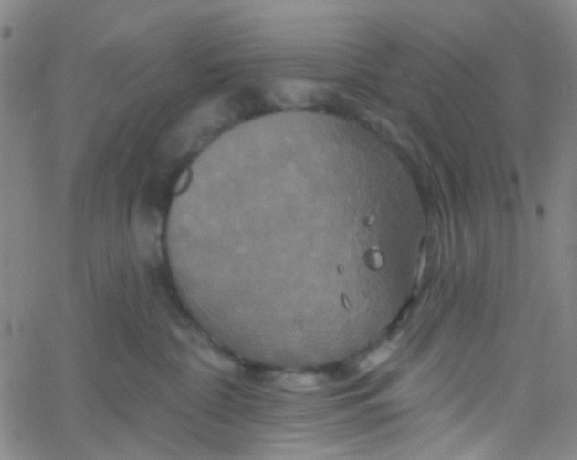 X0000061750332200512231532