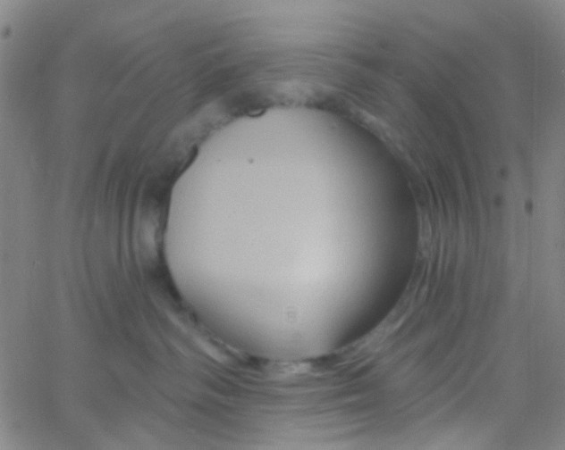 X0000061750334200512231532