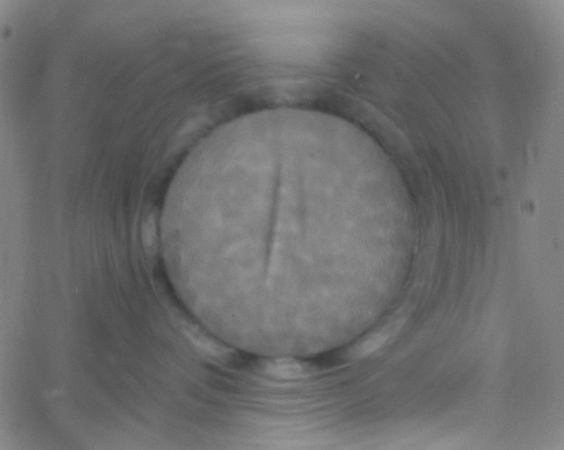 X0000061750336200512231532