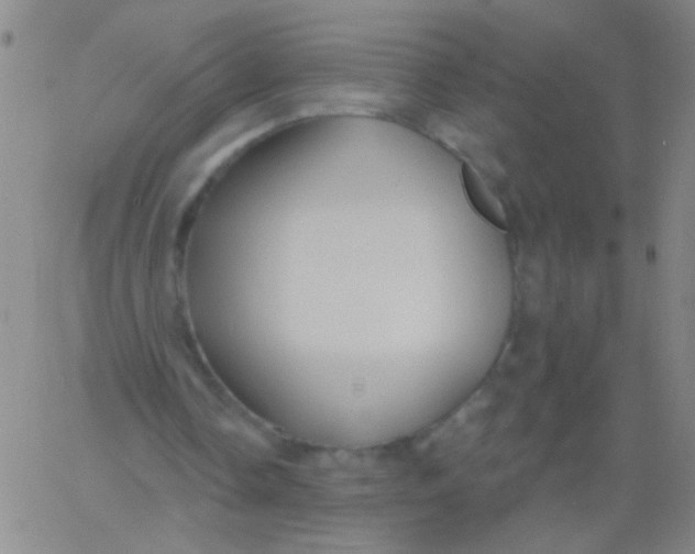 X0000061750338200512231531