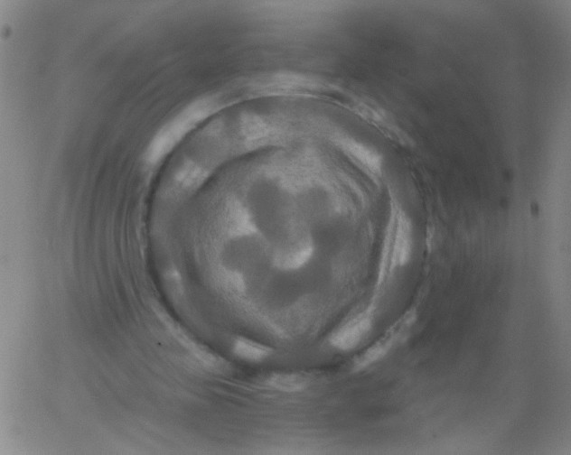 X0000061750341200512231531