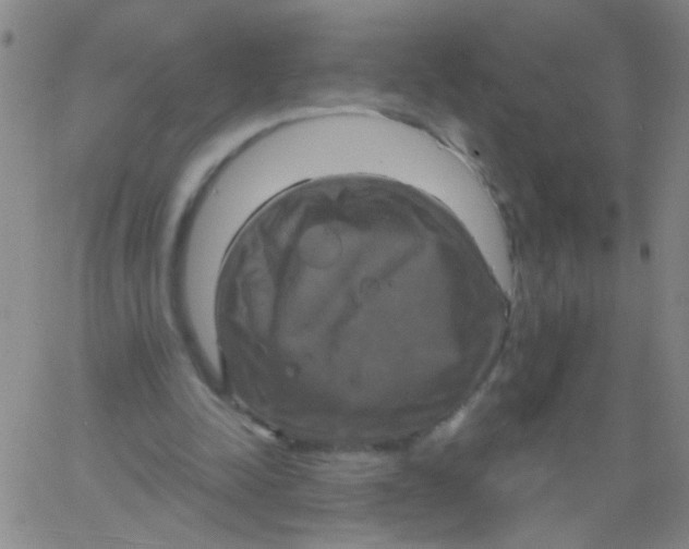 X0000061750342200512231531