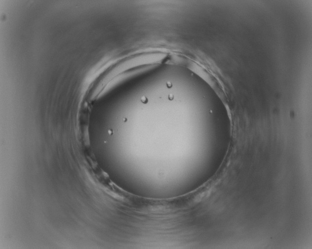 X0000061750344200512231531