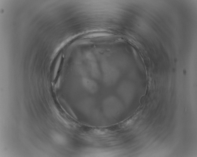 X0000061750346200512231531