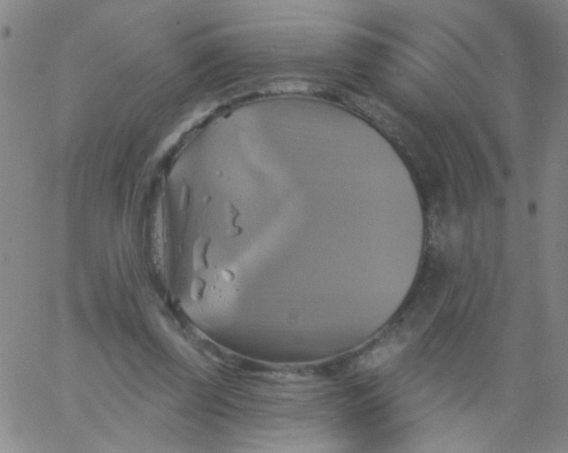 X0000061750347200512231531