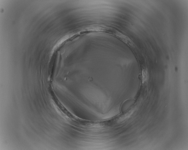 X0000061750349200512231531