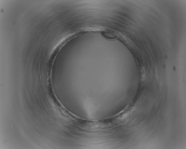 X0000061750351200512231531