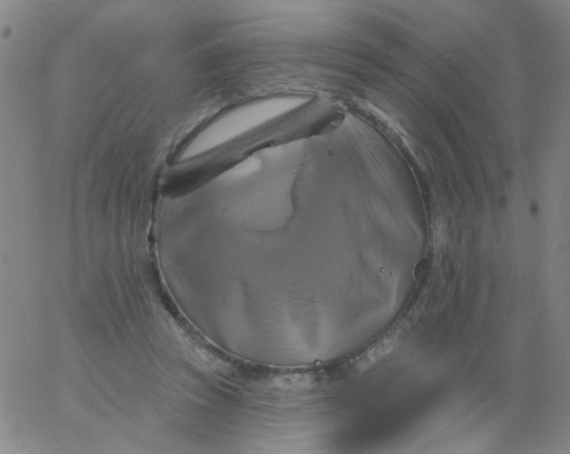 X0000061750353200512231531