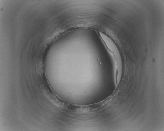 X0000061750354200512231531