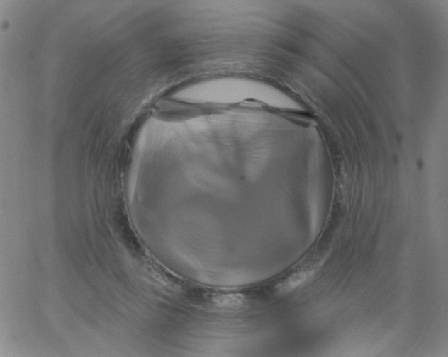 X0000061750355200512231531