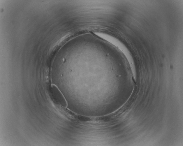 X0000061750356200512231531