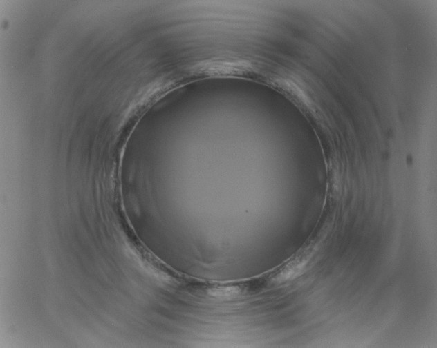 X0000061750357200512231531