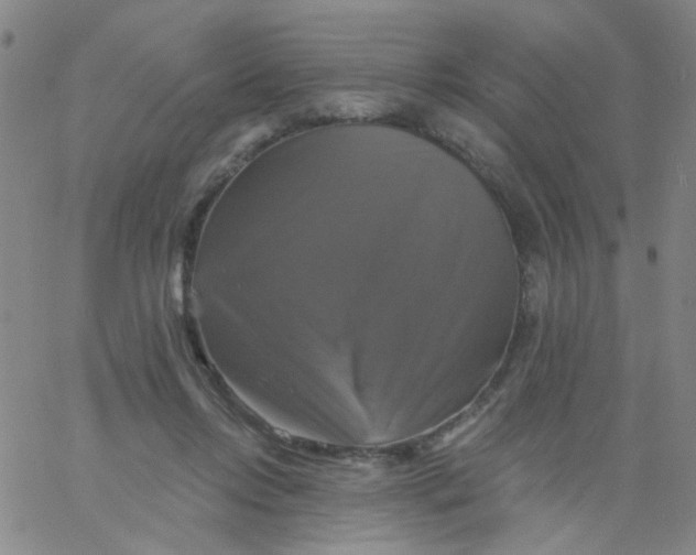 X0000061750358200512231531