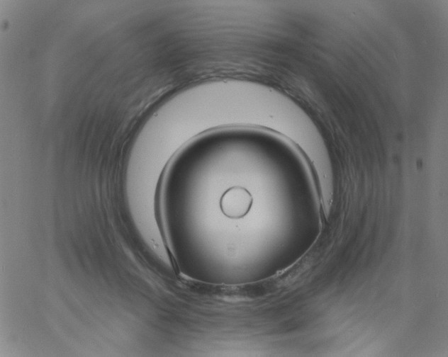 X0000061750360200512231531