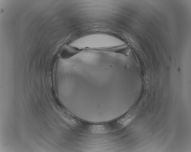 X0000061750361200512231531