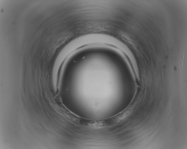 X0000061750362200512231531