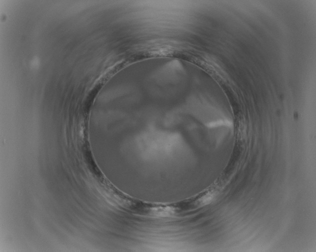 X0000061750363200512231531