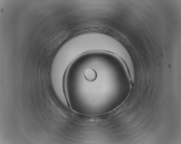 X0000061750364200512231531