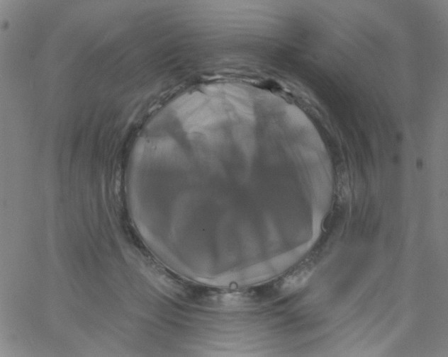 X0000061750365200512231531