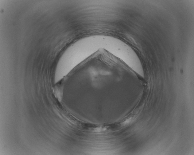 X0000061750366200512231531