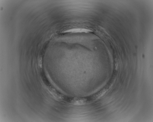 X0000061750368200512231531