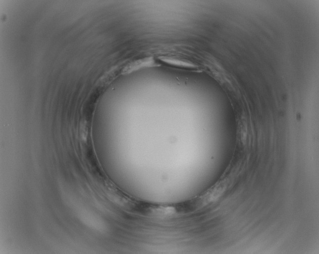 X0000061750374200512231532