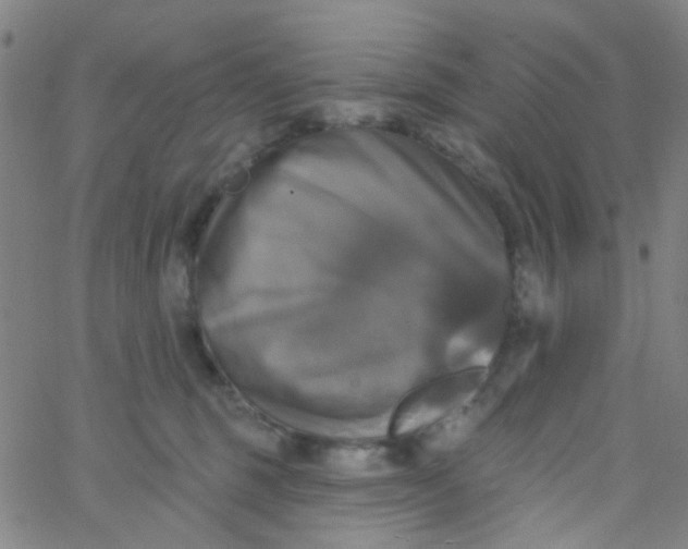 X0000061750375200512231532