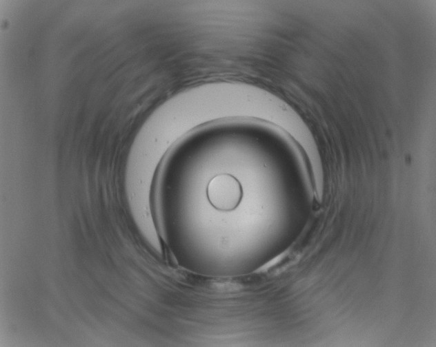 X0000061750376200512231532