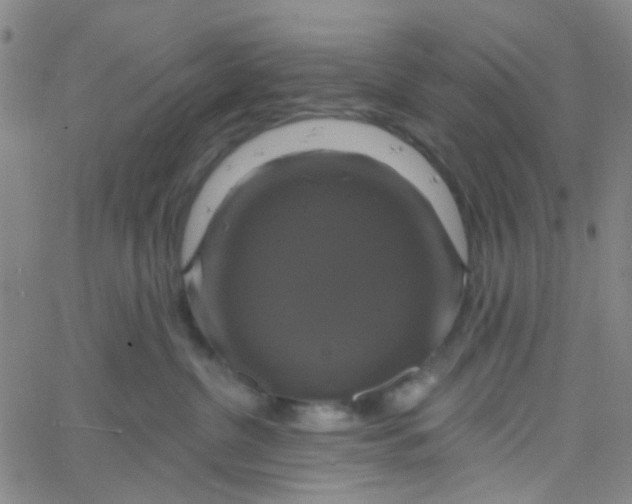 X0000061750380200512231532