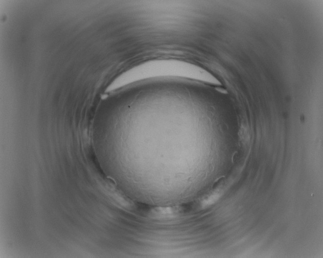 X0000061750381200512231532