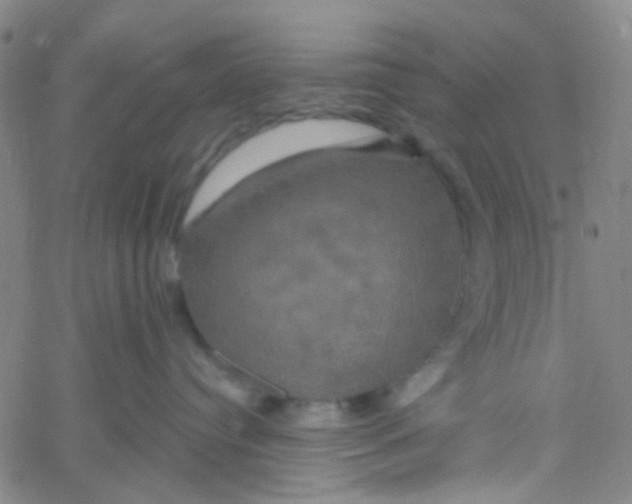 X0000061750384200512231532