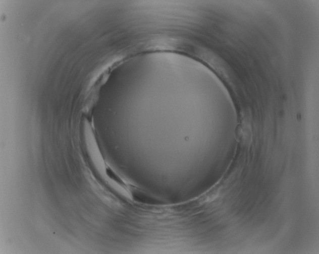 X0000061750386200512231531