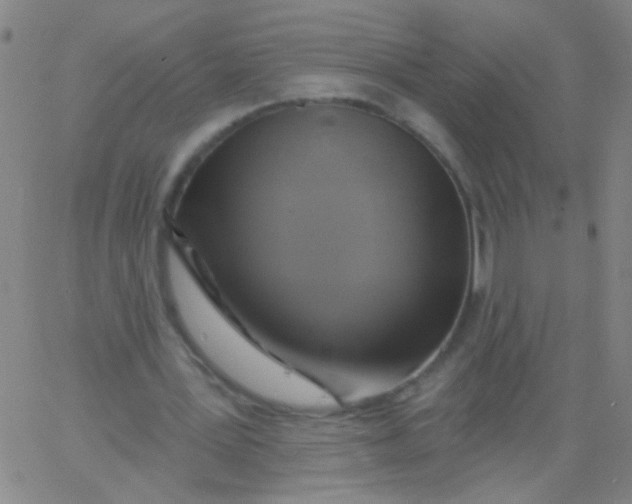 X0000061750387200512231531