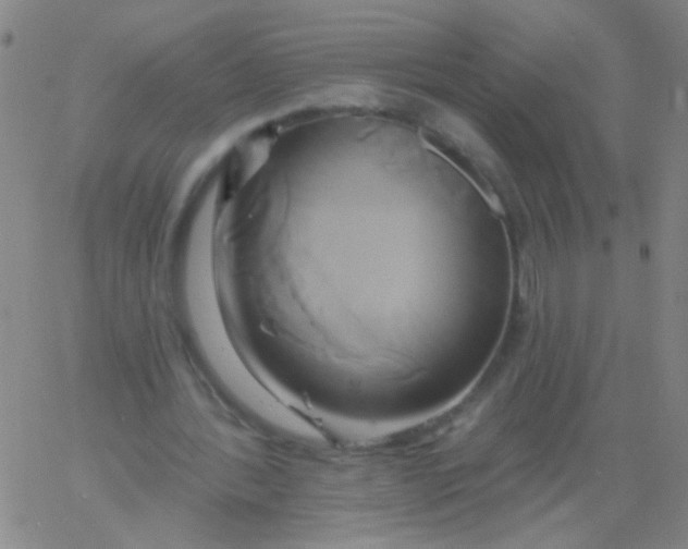 X0000061750388200512231531