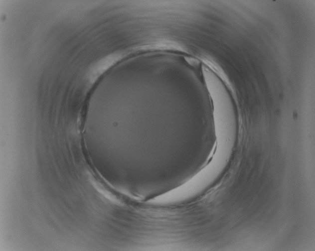 X0000061750389200512231531