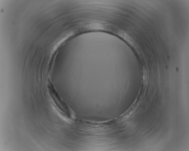 X0000061750390200512231531