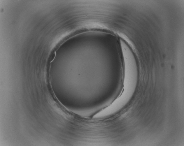 X0000061750391200512231531