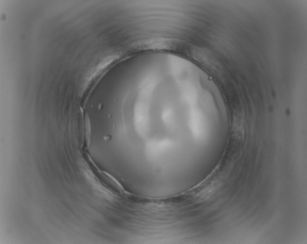 X0000061750394200512231531