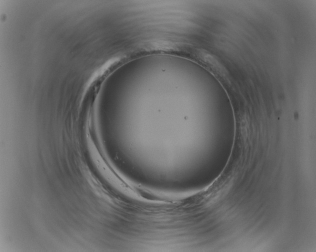 X0000061750395200512231531