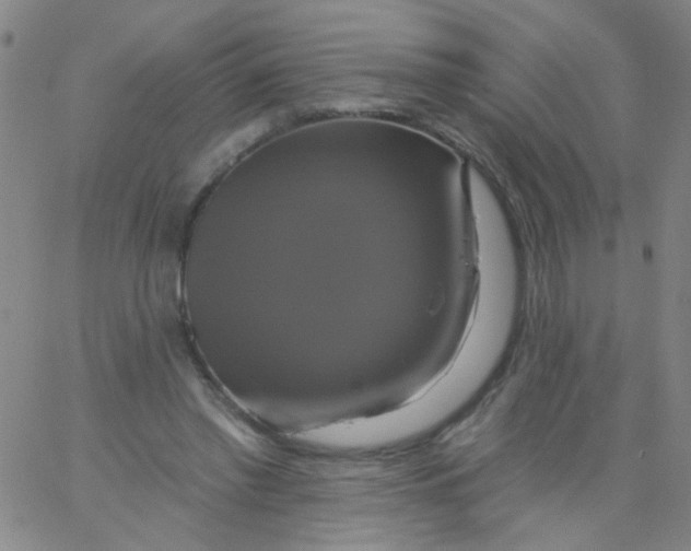 X0000061750397200512231531