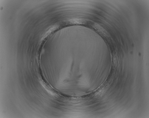 X0000061750398200512231531