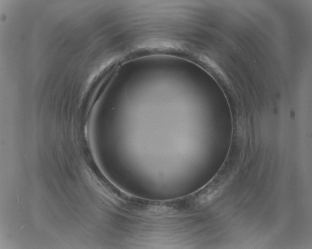 X0000061750399200512231531