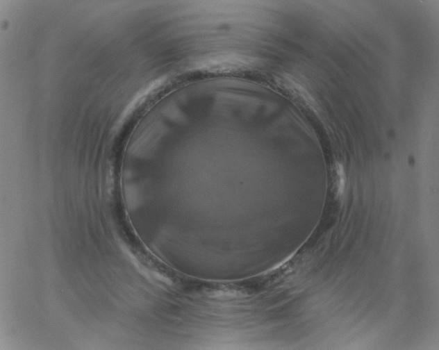 X0000061750400200512231531