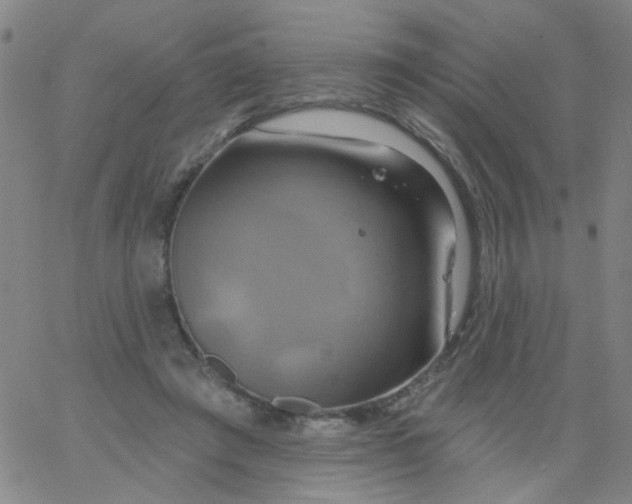 X0000061750401200512231531