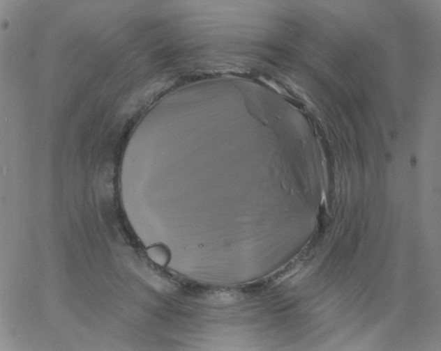 X0000061750402200512231531