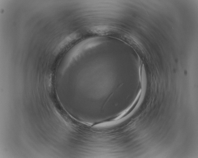 X0000061750404200512231531