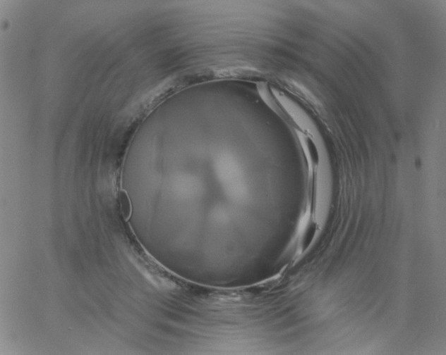 X0000061750405200512231531