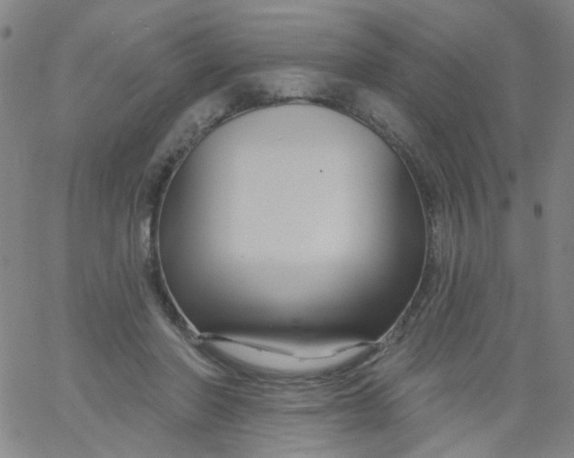 X0000061750406200512231531